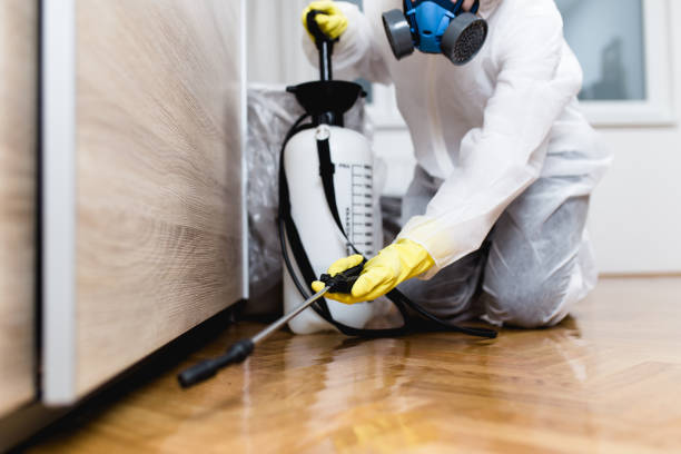 Best Pest Prevention Services  in Northville, NY