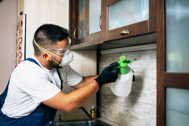Best Commercial Pest Control Services  in Northville, NY