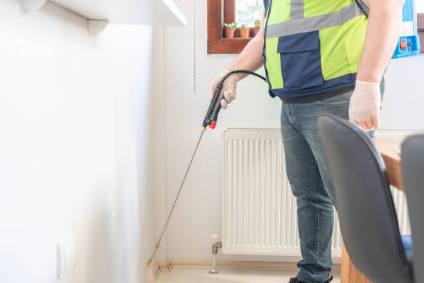 Best Local Pest Control Services  in Northville, NY