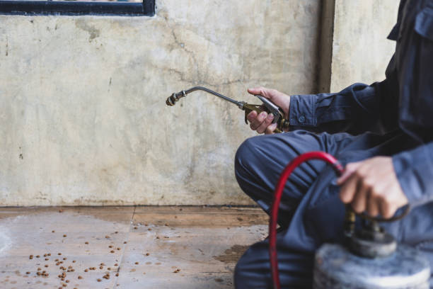 Best Local Pest Control Services  in Northville, NY