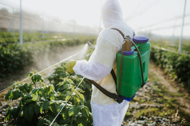 Pest Control for Restaurants in Northville, NY